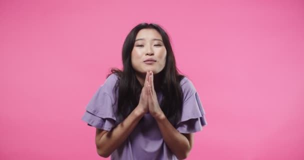 Close up portrait of Asian happy beautiful young woman in purple blouse smiling, praying making gesture with hands asking for success looking at camera standing isolated on pink background in studio — Vídeo de Stock