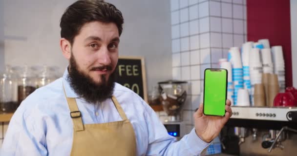 Portret czarującego białego faceta w fartuchu stojącego za barem w kawiarni i pokazującego zielony ekran. Dorosły mężczyzna barman trzymając smartfon z kluczem chroma, patrząc w kamerę i uśmiechając. — Wideo stockowe