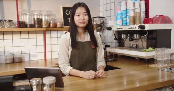 Porträtt av vacker asiatisk kvinna i förkläde som arbetar på urban kaffebar. Ung kvinnlig barista som står bakom baren och tittar på kameran i caféet. Yrke, karriär, deltidsarbete. — Stockvideo