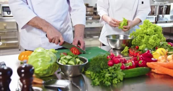 Close up of male hands cutting tomato working in restaurant. Chef working in restaurant kitchen, slicing vegetables, preparing salad. Workflow, employees at cafeteria. Cookery, cook profession concept — Stock Video