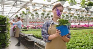 Portrait of young happy beautiful Caucasian woman owner of garden center or flower shop holding small pot plant and checking it. Greenhouse worker in apron with plant flower in hands, retail concept