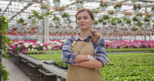 Portret radosnej białej pięknej, młodej kobiety ogrodnik w fartuchu stojącej w miejscu pracy w kwiaciarni. Szczęśliwy sprzedawca kobiet pracujących w sklepie roślin patrząc na aparat w dobrym nastroju koncepcja pracy szklarni — Wideo stockowe