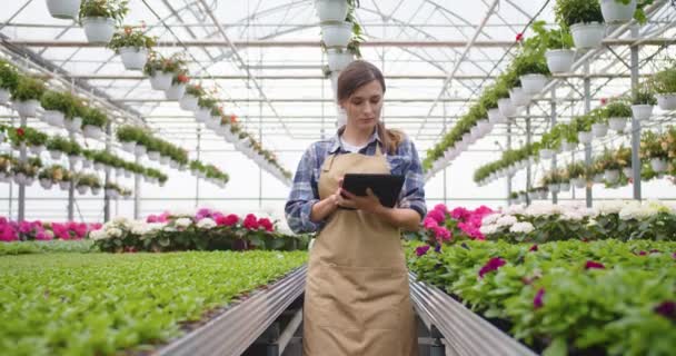Caucasian young female worker working as florist in floral shop walking in greenhouse and typing on tablet device checking plants. Flower store owner. Female entrepreneur, floral business concept — Stock Video