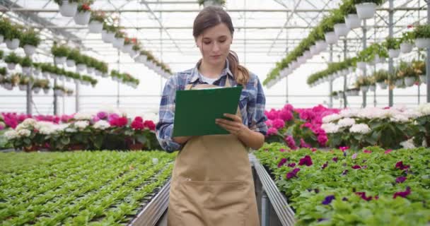Portrait of Caucasian young female florist in apron walking in garden center and writing doing inventory using clipboard working in own flower shop. Greenhouse, floral store owner entrepreneur concept — Stok video