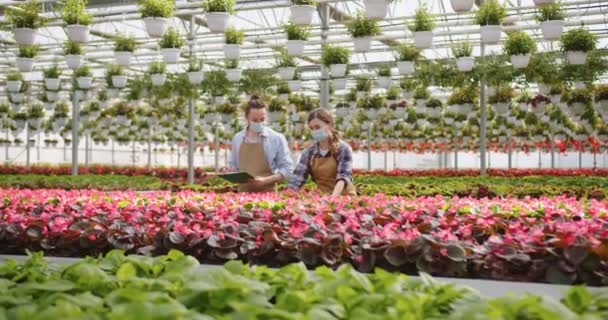 Biała młoda kobieta w masce i fartuchu rozmawia z kolegą wybierając rośliny trawki w szklarni, ludzi pracujących w kwiaciarni podczas koronawirusu. Praca, inwentarz, centrum ogrodnicze — Wideo stockowe