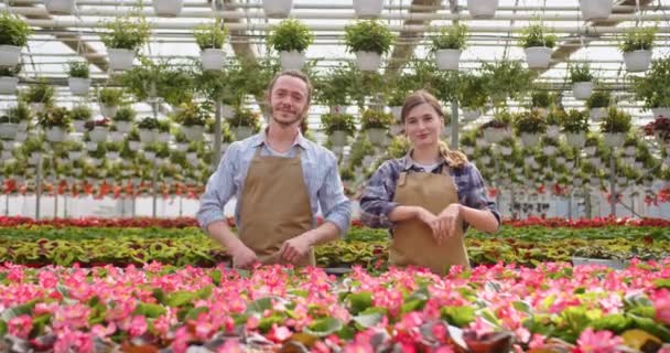 Porträtt av glada positiva par i förkläden som står i eget växthus, tittar på kameran och ler. Blommor butik, familjeföretag, manliga och kvinnliga blomsterhandlare i arbete i trädgårdscenter, blomsterhandel — Stockvideo