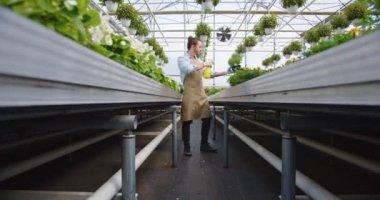 Handsome young Caucasian man florist in apron watering flowers working in big greenhouse. Garden center, own business, floristry, salesman sprays pot plant at floral shop, entrepreneur concept