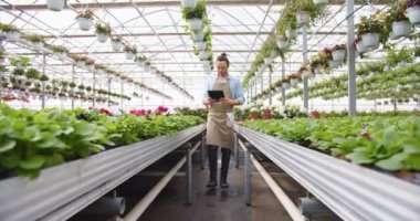 Caucasian young handsome man floral store owner in apron walking in big greenhouse holding in hands tablet device and looking at flowers. Floral shop, own business, plant pot, entrepreneur concept