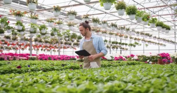 Portrait of Caucasian young handsome man floral store owner in apron walking in big own greenhouse holding in hands tablet device and looking at flowers. Floral shop, entrepreneur concept — Stok video