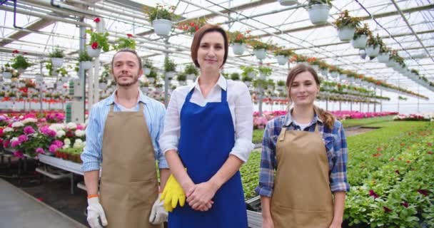 Glada unga vita positiva växthusodlare står inomhus på jobbet, tittar på kameran och ler. Manliga och kvinnliga blomsterhandlare i förkläden på arbetsplatsen i trädgården centrum, blommig affärsidé — Stockvideo