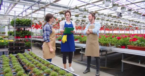 Caucásico bastante feliz mujer propietaria de invernadero de pie en el centro del jardín y hablar con los empleados jardineros. Jefe discutiendo el trabajo con los trabajadores. Floristería, floristería — Vídeos de Stock