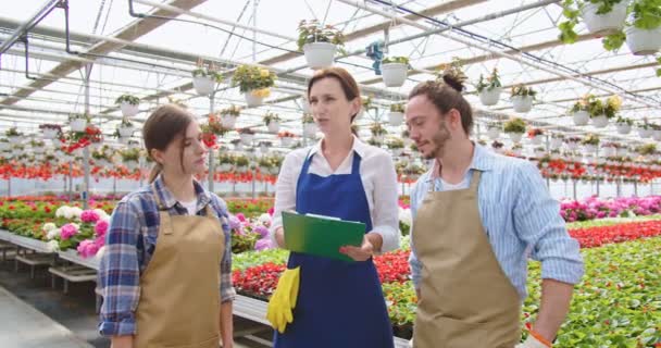 Ritratto di giovani gioiosi giardinieri caucasici in piedi in negozio di fiori insieme e parlando di business plan. Responsabili vendite in grembiuli in serra vegetale con molti fiori. Attività di vendita — Video Stock