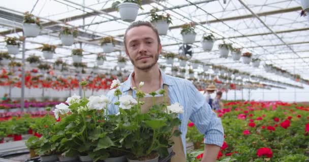Close up portrait of happy handsome Caucasian young salesman in apron standing in floral shop holding in hands pot with flower plants looking at camera and smiling Greenhouse gardener business concept — Stock Video