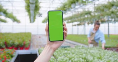 Close up of female hand with black cellphone with green screen over flower greenhouse background. Woman hand holding cellphone with chroma key in garden center, floral shop, tech gadget concept