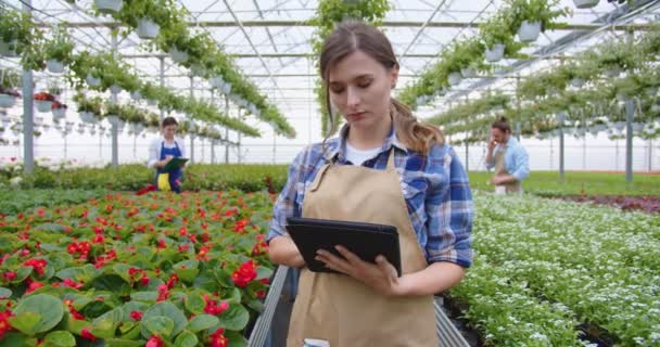 Портрет красивої кавказької дівчини, яка посміхається жінці-робітниці-квіткарки в фартуванні на планшеті, що дивиться онлайн в оранжереї. Щаслива красива жінка, що працює в квітковому магазині і продає рослини онлайн — стокове відео