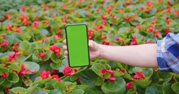 Крупный план женской руки, держащей черный смартфон с зеленым экраном на фоне цветов. Женская рука с сотовым телефоном с хрома-ключом в ботаническом саду центра, теплица, технологическая концепция — стоковое видео