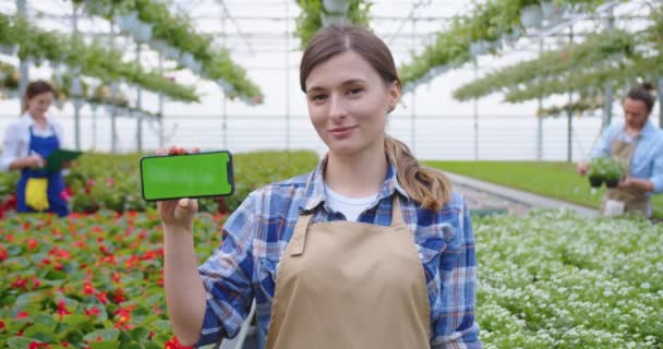 Közelkép portré vidám fiatal gyönyörű női kertészeti dolgozó áll az üvegházban, és gazdaság okostelefon krómkulccsal nézi a kamerát, és mosolyog. Technológiai koncepció — Stock videók