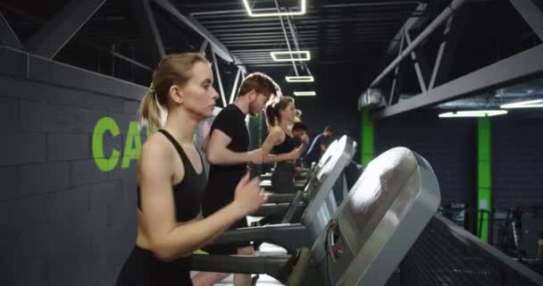 Volledige profielfoto van een jonge multiraciale groep mensen die trainen op een loopband in de donkere fitnessruimte. Sport en recreatie — Stockvideo