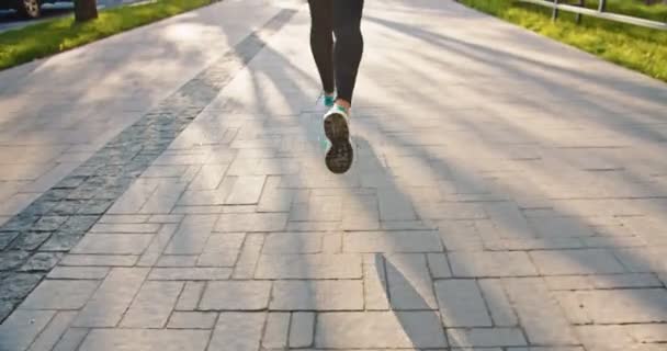 Tylne nogi sportowców biegających w letnim mieście, poranne ćwiczenia. Kobieta uprawiająca jogging na ulicy. Sport styl życia, koncepcja treningu. odzież sportowa, sport, fitness, bieg, biegacz, zbliżenie, widok z tyłu — Wideo stockowe