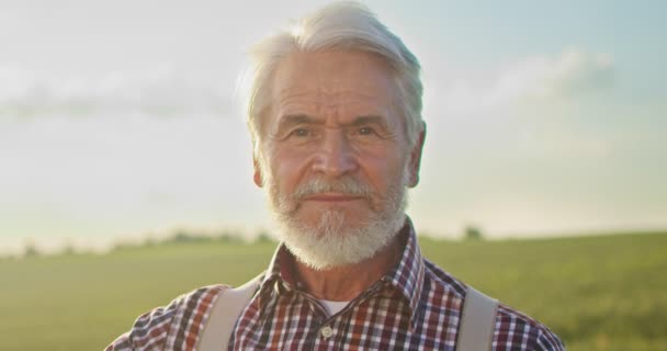 Portret van senior lachende man met baard kijkend naar de camera in het gouden veld op de blauwe hemel achtergrond zonnige dag. Gezicht van gelukkige boer werknemer in de zomer natuur. Concept "echte mensen" — Stockvideo