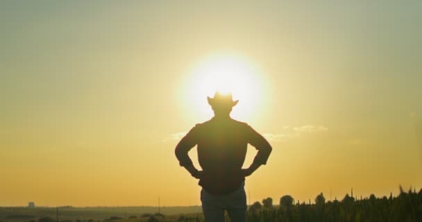 Vista posterior del joven agricultor parado en el campo y mirando la cosecha mientras analiza con la puesta de sol en el fondo. Concepto de empresa agrícola — Vídeo de stock