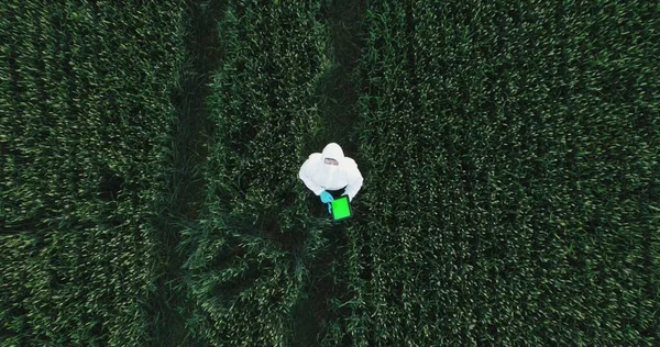Vista dall'alto degli scienziati o dell'agricoltore che utilizzano computer tablet digitali con chiave cromatica nel campo della soia coltivata, utilizzando drone e applicando tecnologie moderne nell'attività agricola. Schermo verde — Foto Stock