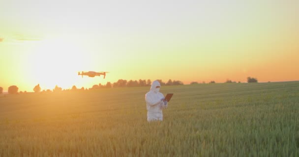 Agricultor que usa equipo de protección de pie en el campo de trigo joven y examinarlo con un dron. Naturaleza agricultura crecimiento metraje — Vídeos de Stock