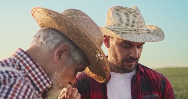 Dos trabajadores masculinos de invernadero de pie en el campo y charlando con placer sobre algo. Concepto de colaboración y agricultura industrial — Vídeos de Stock