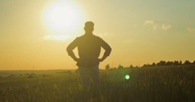Beyaz tenli genç çiftçinin tarlaya bakıp hasatı analiz ederken arka planda gün batımını seyredişinin arkası. Tarım kavramı