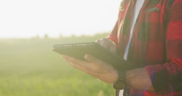 Ekolojik organik tarım bahçesinin önündeki yeşil ekinleri incelerken, erkek çiftçi uzmanının tablet bilgisayar uygulamalarına göz attığı görüntüler. — Stok video