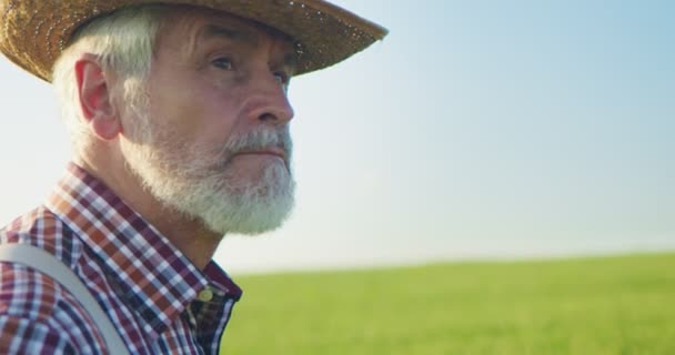 Sluiten van de senior Kaukasische goed uitziende wijze man boer met een hoed kijken naar het veld, draaien gezicht naar de camera en het analyseren van de oogst. Landbouwconcept — Stockvideo