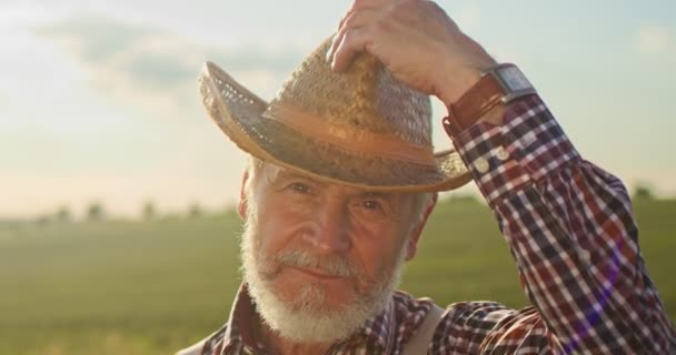 Portret van senior lachende man met baard kijkend naar de camera in het gouden veld op de blauwe hemel achtergrond zonnige dag. Gezicht van de gelukkige boer werknemer in de zomer natuur. Begrip "landbouwer" — Stockvideo