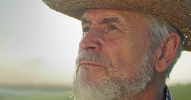 Landbouw. Senior boer gezicht portret in het veld bij de oogst. Agrarische landbouw een oogstconcept. Landbouwers die rusten tijdens de bewerking bij de oogst — Stockvideo