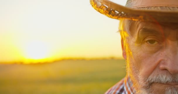 Een blanke tuinman die het veld onderzoekt en naar de camera kijkt op de groene plantage bij zonsondergang. Broeikasdeskundige, agronomie en biolandbouwconcept — Stockvideo