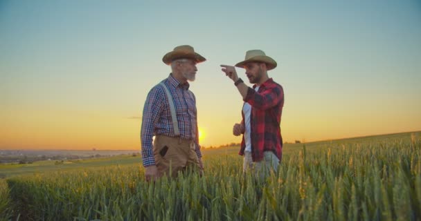 Smart agritech livestock farming. Two adult caucasian smiling men wearing hat standing at the green field at the summer and discussing something. Farming concept. Stock video — 图库视频影像