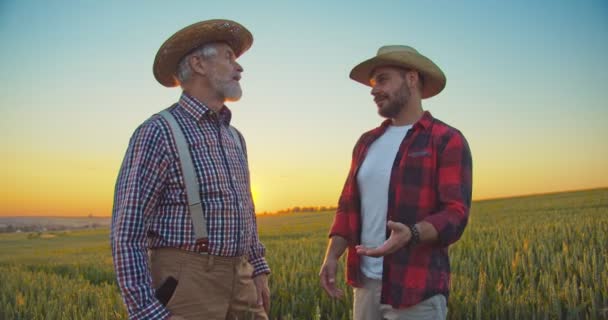 Okos agritech állattenyésztés. Két felnőtt, fehér, mosolygós férfi, akik nyáron a zöld mezőn állnak, és beszélgetnek valamiről. Gazdálkodási koncepció. Készletvideó — Stock videók