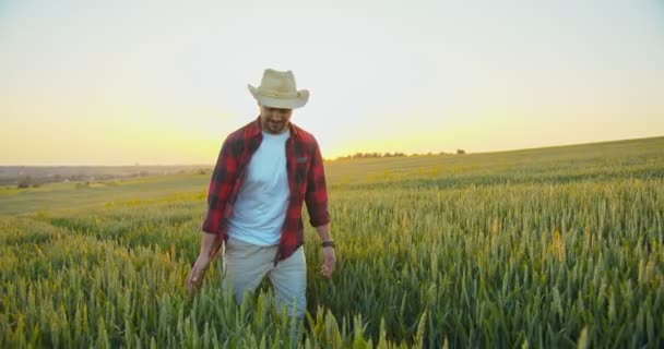 Uśmiechnięty ogrodnik badający i badający optymalne systemy uprawy plantacji sałatek zielonych. Koncepcja eksperta ds. szklarni, agronomii i biologii — Wideo stockowe