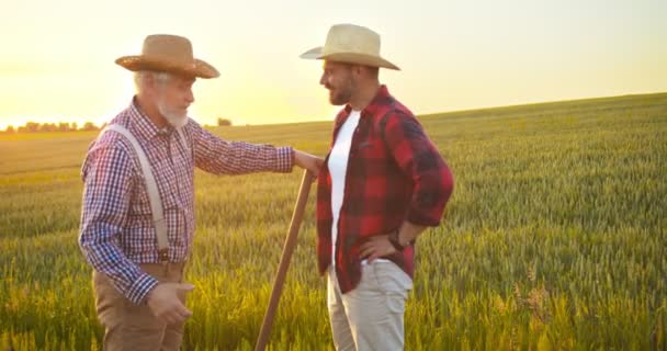 Vezető mezőgazdasági mérnök és fiatal gyakornok a terepen. Felnőtt specialista mond valamit a kollégájának. Szezonon kívüli betakarítás és agronómia fogalma — Stock videók