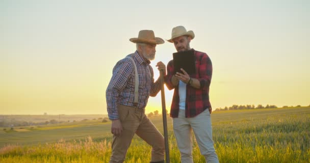 Двоє фермерів-експертів переглядають застосунки планшетних комп'ютерів, вивчаючи зелені культури на полі, що стоїть в саду екологічно чистих ферм — стокове відео