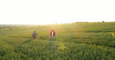 İki erkek bahçıvan yeşil salata çiftliği yetiştirmek için ideal büyüme sistemlerini inceliyor ve araştırıyor. Sera uzmanı, tarım ve biyo tarım konsepti