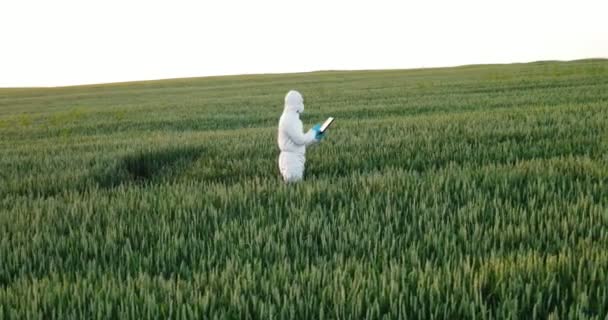 Farmer agronomist or scientists looking in the tablet in field wheat at the sunset. Agronomist wearing protective equipment with tablet in hands. Farmer agronomist checks eco-crops — Stock Video