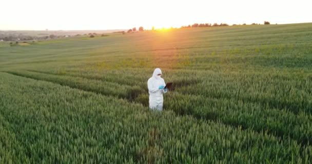 Vista completa de la cámara del agricultor masculino o científico que usa equipo de protección usando la aplicación de tecnología de tableta mientras trabaja en el campo con concentración. Concepto agrícola — Vídeo de stock