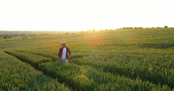 Smart agritech livestock farming. Adult caucasian smiling man wearing hat walking through the green field at the summer. Farming concept. Stock video — Stock Video
