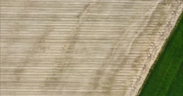 Câmera de drones vista nos campos de trigo e verde em câmera lenta. Bela vista superior de campos arados e semeados. Panorama aéreo vista drone da paisagem agrícola típica — Vídeo de Stock