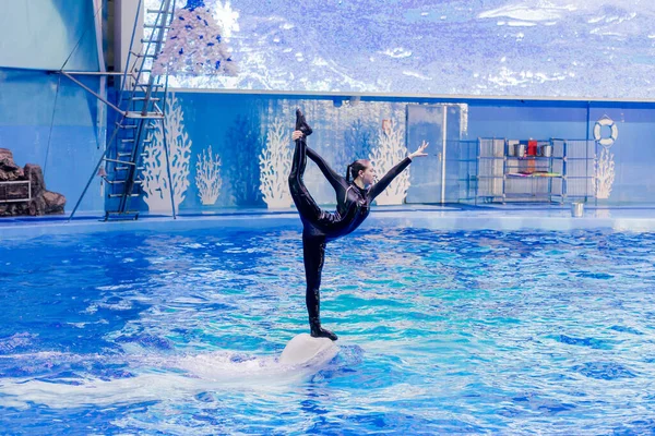 Russia Vladivostok 2021 Performance Beluga Whale Pretty Lady Performer Marine — Stock Photo, Image