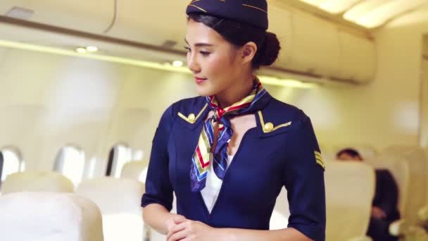 Cabin crew or air hostess working in airplane — Stock Video