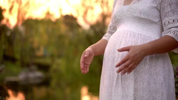 Femme enceinte se sentant heureuse à la maison de jardin. — Video