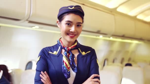 Cabin crew or air hostess working in airplane — Stock Video