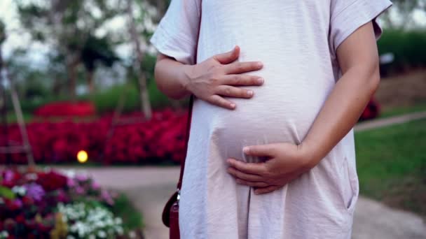 Bonne femme enceinte et attend bébé à la maison. — Video