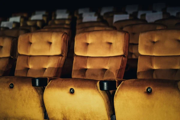 A row of yellow seat in the movie theater — Stock Photo, Image